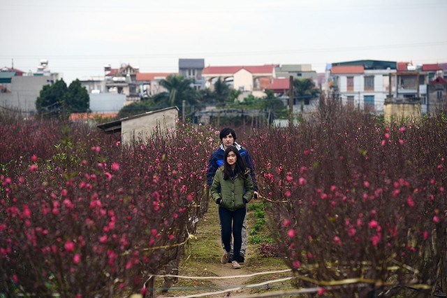 Người dân Thủ đô rộn ràng sắm Tết ảnh 8